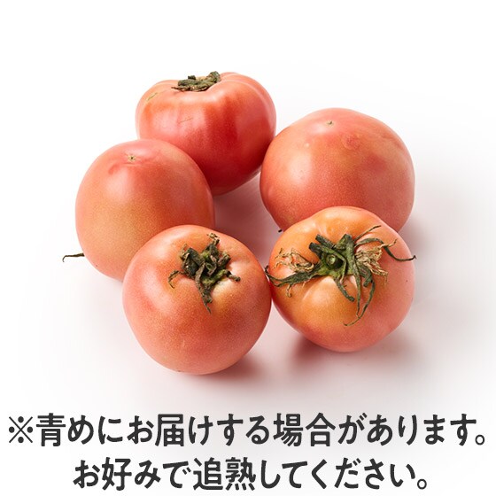 トマト｜Oisix（おいしっくす）